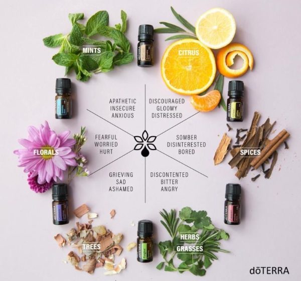 The emotional aromatherapy wheel The Health Hub